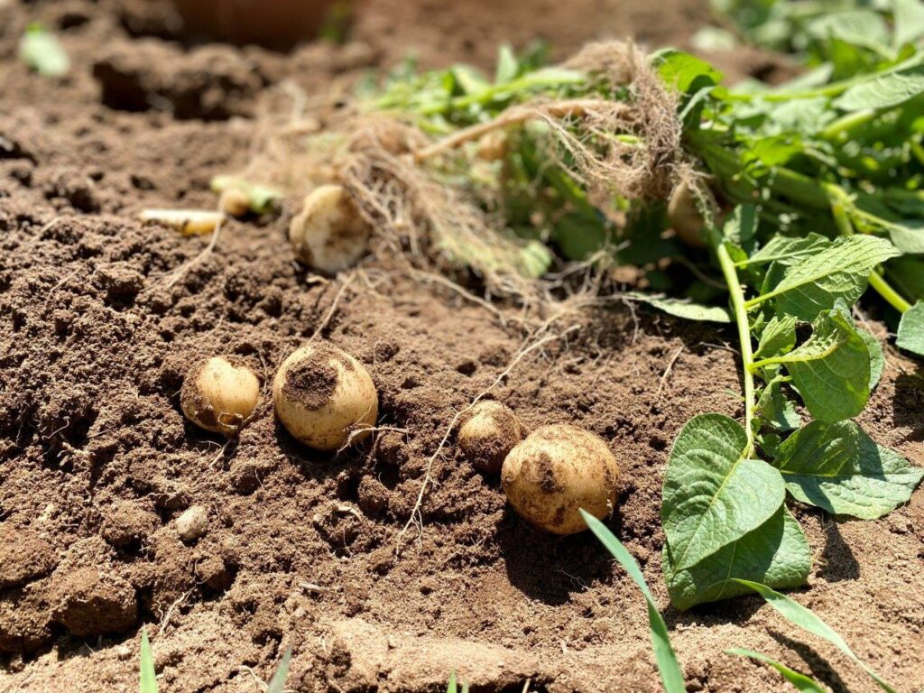 Avances en materia de sustentabilidad