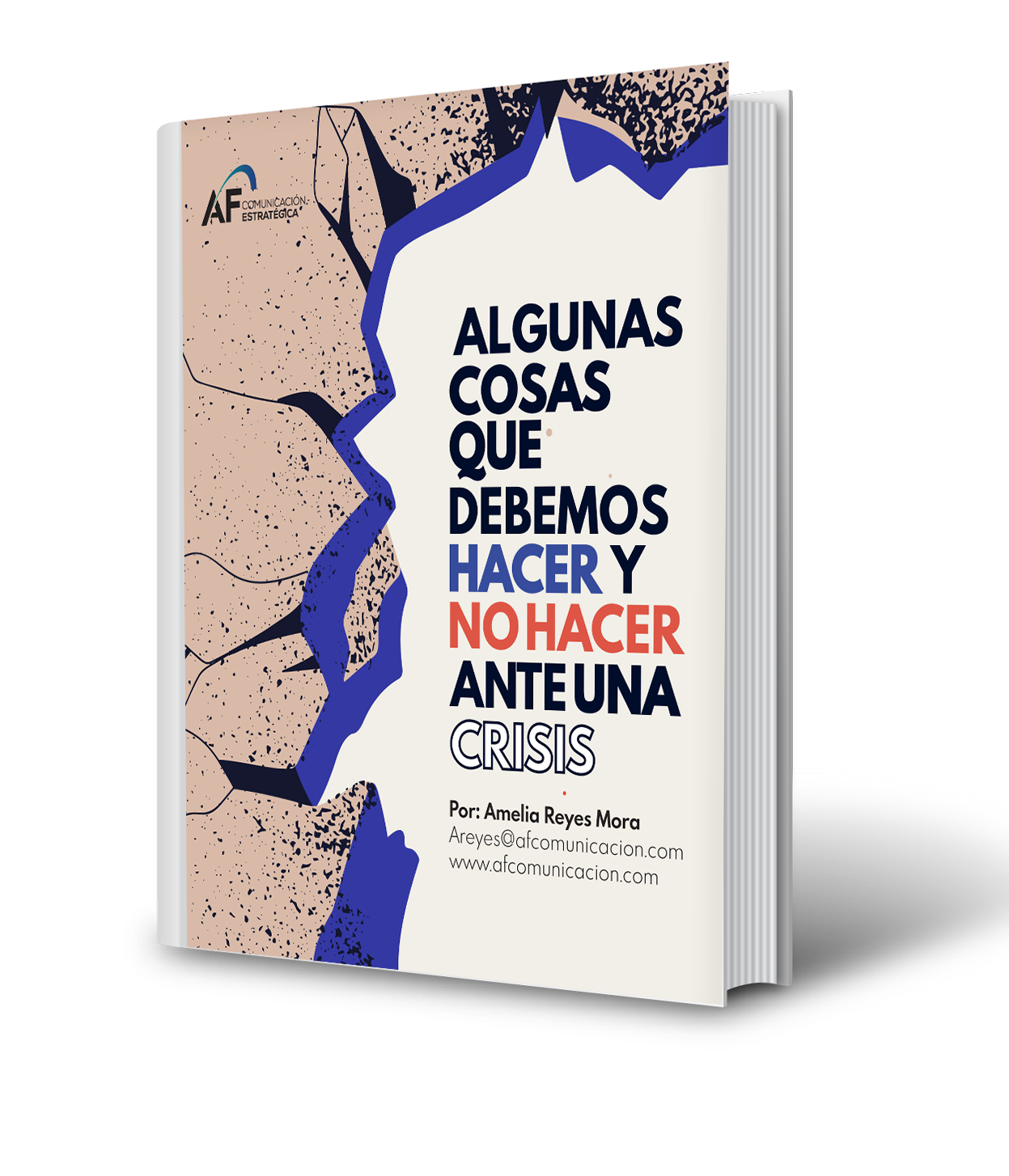 Mock up ebook Ante una crisis