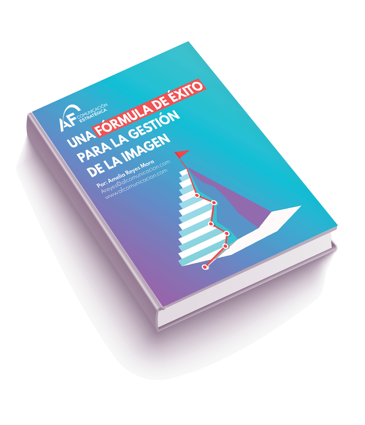 UNA FÓRMULA DE ÉXITO PARA LA GESTIÓN DE LA IMAGEN