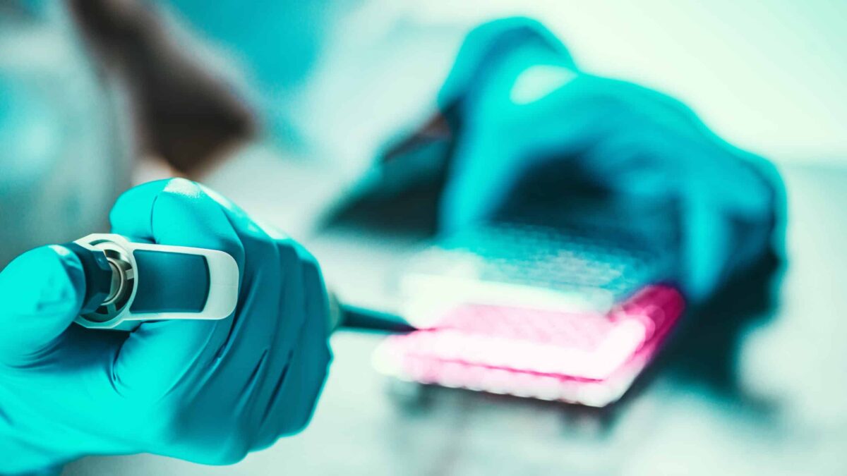 Female scientist researching samples in laboratory